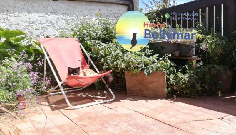 Hostal Bellymar Пичилему Екстериор снимка